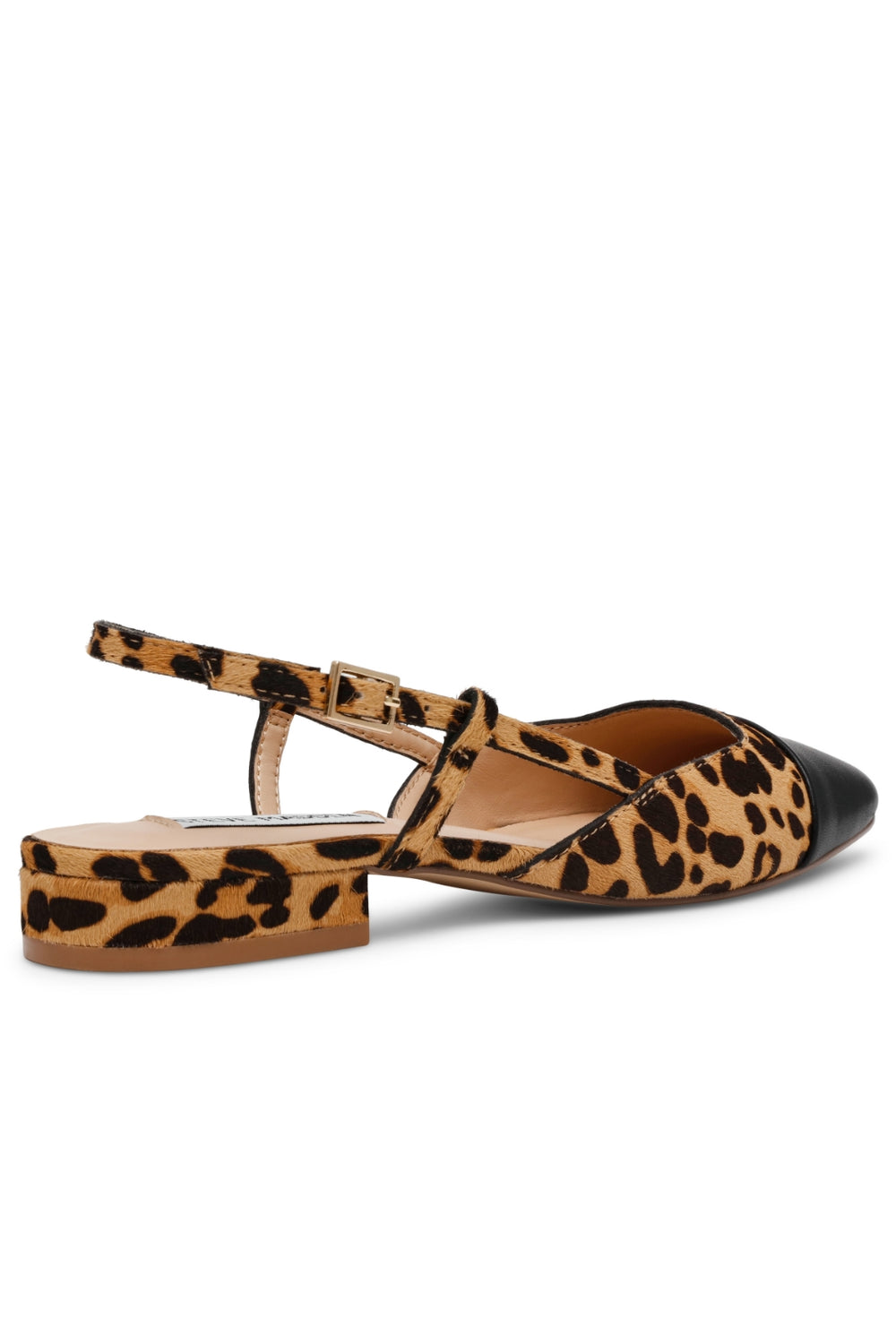 Steve Madden - Belinda-L Ballerina SM11003564 - 969 Leopard