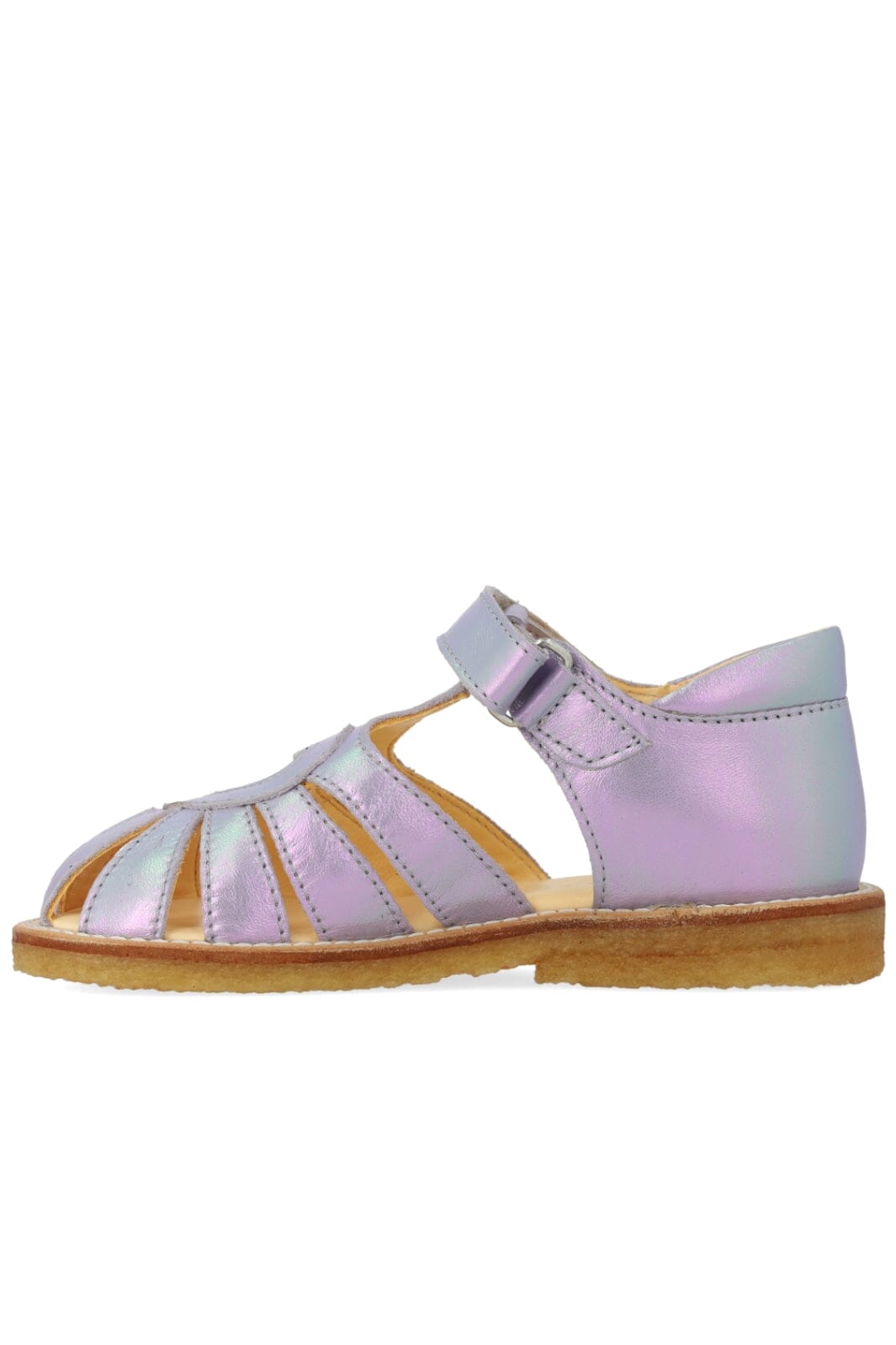 ANGULUS - 5186-101 - Iridescent Lilac Shine