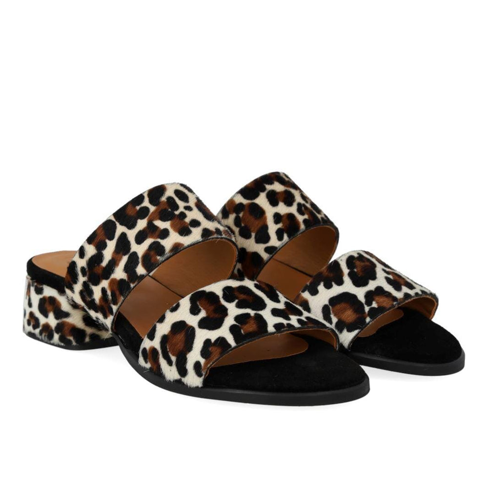 ANGULUS - 5848-102 - Leopard/Black