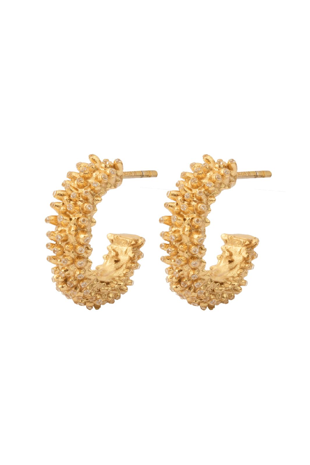 House Of Vincent - Spectacle Hoop Earrings - Gilded