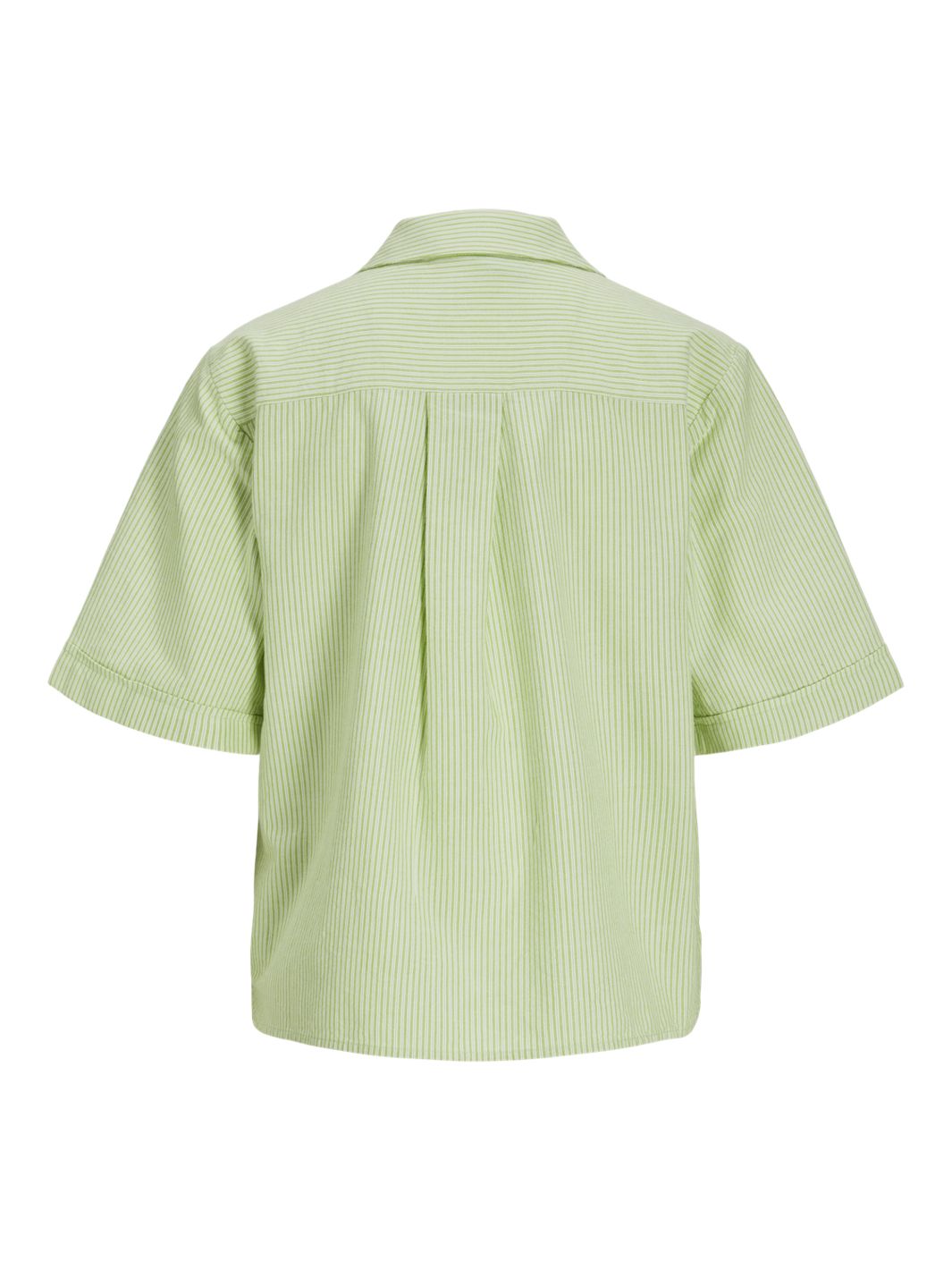 Jjxx - Jxsiva Oxford Ss Pocket Shirt - 4662403 Parrot Green Blanc De Blanc