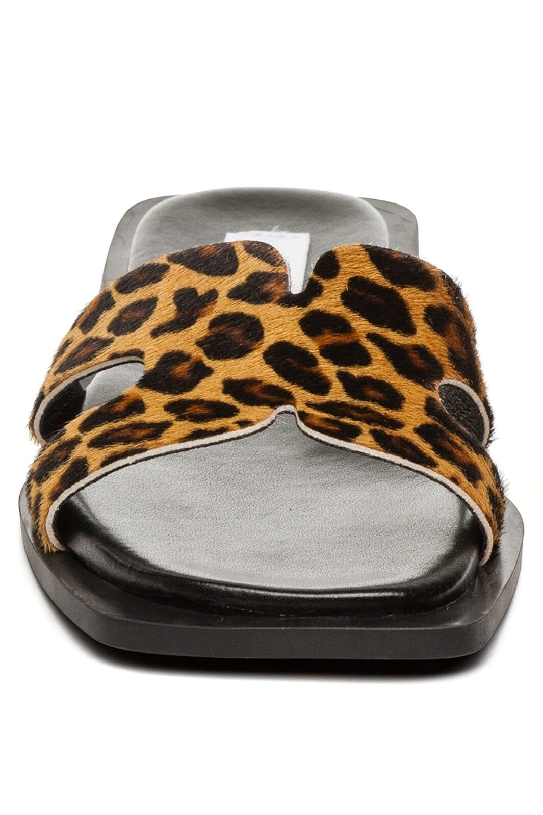 Steve Madden - Sofia-L SM11003524 - LEOPARD LEATHER 969