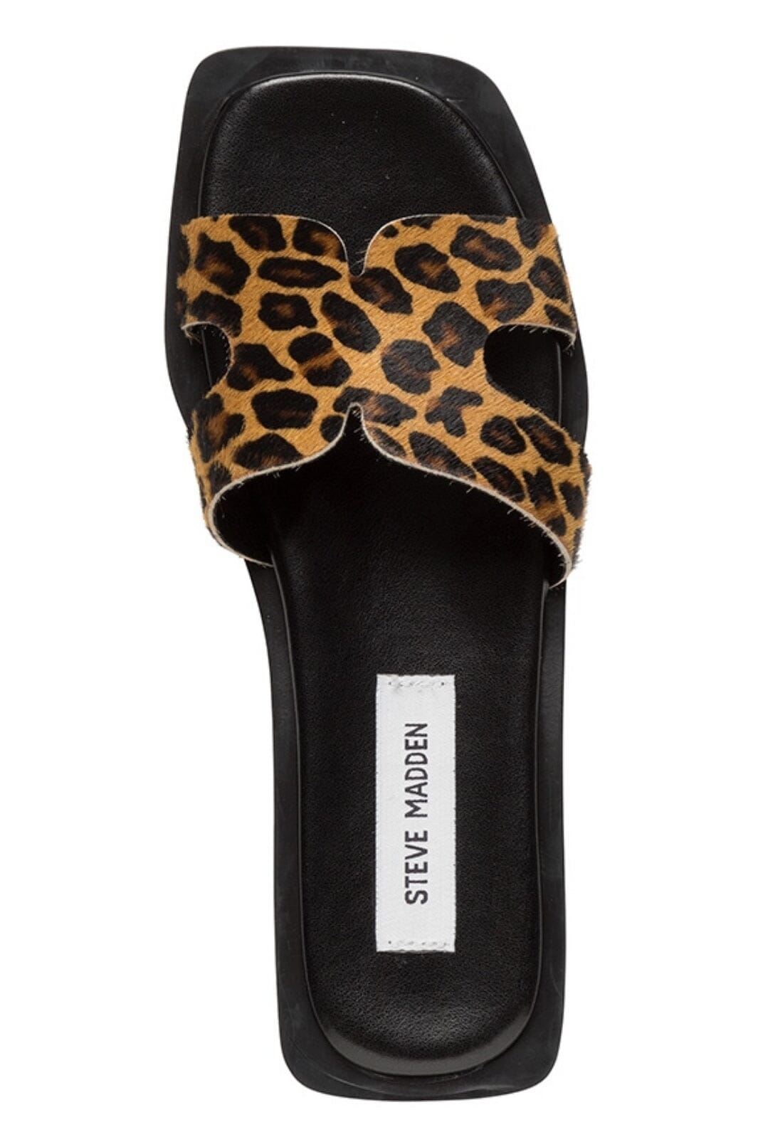 Steve Madden - Sofia-L SM11003524 - LEOPARD LEATHER 969