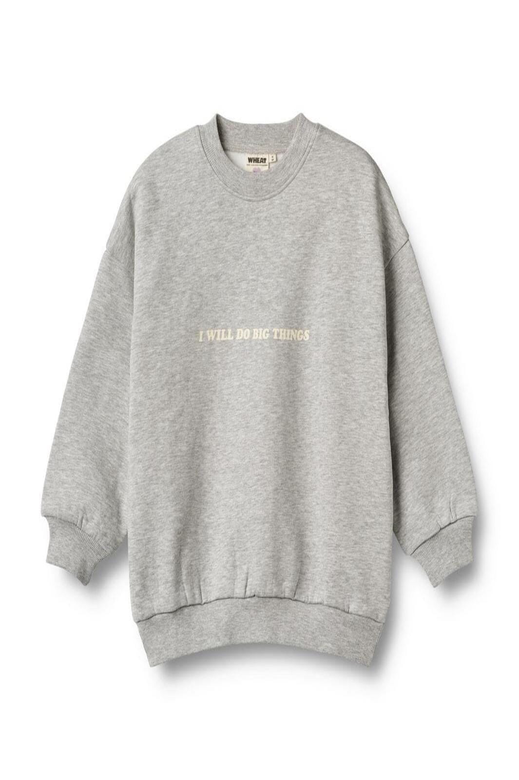 Wheat Collab - Crewneck Allo - 0105 Grey Melange