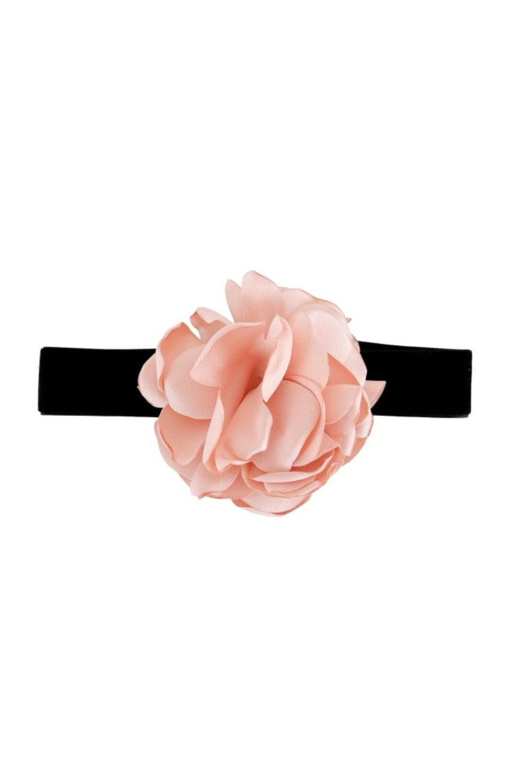 Forudbestilling - Black Colour - Bcfiora Velvet Neckband - Rose (Februar) Halskæder 